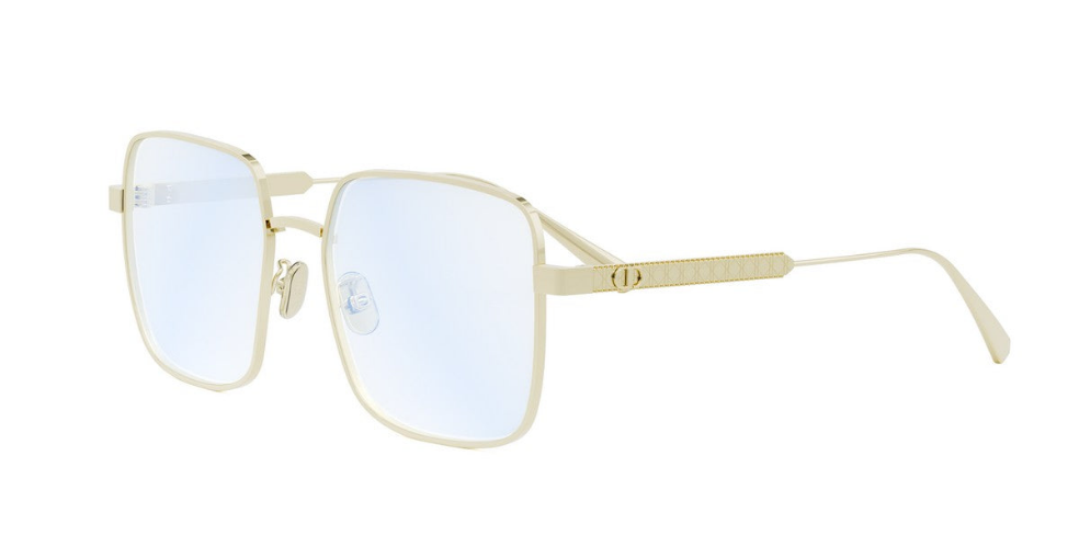 DIOR CD50119F B10