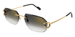 CARTIER CT0468S 001