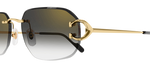 CARTIER CT0468S 001