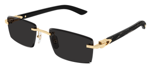 CARTIER CT0582S 001 – Ontario Optics