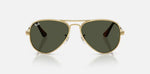 RAYBAN RB3925 001/31 (58)