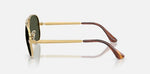 RAYBAN RB3925 001/31 (58)